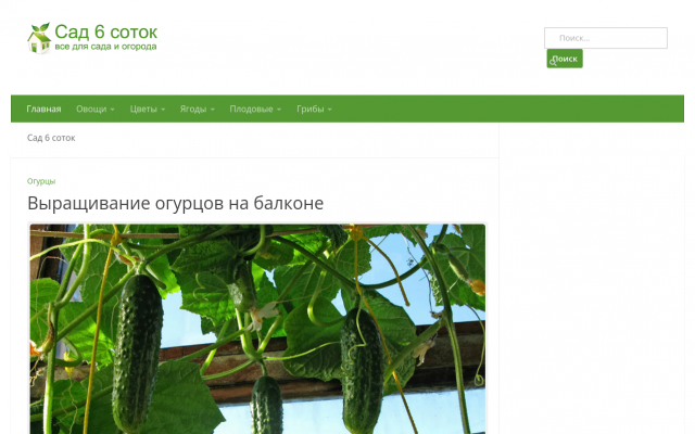 sad6sotok.ru sad6sotok.ru